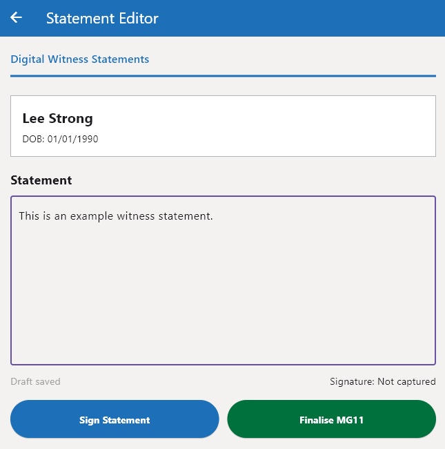 Statement input screen placeholder